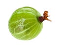 One gooseberry fruits isolated Royalty Free Stock Photo