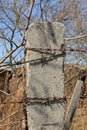 One gray concrete pole with brown iron barbed wire