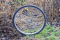 One gray metal bicycle wheel with a black tire Royalty Free Stock Photo