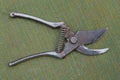 One gray old iron tool pruner