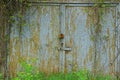 Gray rusty garage door made of metal overgrown with vegetation and green grass