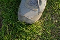 One gray sneaker made of fabric and suede over green grass Royalty Free Stock Photo