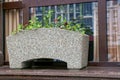 One gray stone flowerpot with green vegetation and flowers stands on the windowsill Royalty Free Stock Photo