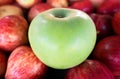 One green apple among group of many red apples Royalty Free Stock Photo