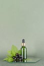 One green glass bottles with serum, essential oil or other cosmetic product with sprig of black currant on mirror, green