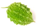 One green momordica or karela isolated on white background Royalty Free Stock Photo