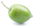 One green natural olive isolated on a white background Royalty Free Stock Photo