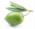 One green natural olive with leaves isolated on a white background Royalty Free Stock Photo