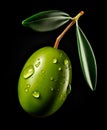 One green olive isolated on black background Royalty Free Stock Photo