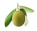 One green olive with leaves isolated on white background Royalty Free Stock Photo