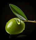 One green olive with oil drops isolated on black background Royalty Free Stock Photo