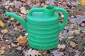 one green plastic watering can stands on the ground Royalty Free Stock Photo