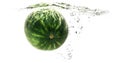 One green striped watermelon falling into water on a white background with splashes, drops and bubbles. summer fruit and