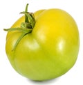 One green tomato on the side Royalty Free Stock Photo