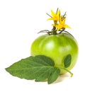 One green unripe tomato with a flower and leaf isolated on white background Royalty Free Stock Photo