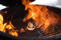 One grilled mushroom on fire Royalty Free Stock Photo