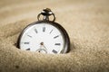 One gusset watches in close-up Royalty Free Stock Photo