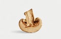 One half of a brown fresh porcini mushroom cut into two parts, isolated on a white background. Side view. A type of Royalty Free Stock Photo