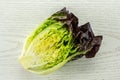 Fresh raw green lettuce red little gem on grey wood Royalty Free Stock Photo