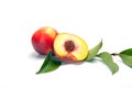 One and a half nectarine peaches Royalty Free Stock Photo