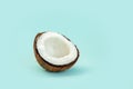 One half of ripe coconut on blue background Royalty Free Stock Photo