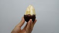 One half-unpeeled salak grasped by a women's hand Royalty Free Stock Photo