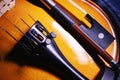 One Half Violin Details Royalty Free Stock Photo