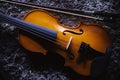 One Half Violin Details Royalty Free Stock Photo