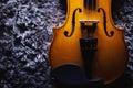 One Half Violin Details Royalty Free Stock Photo