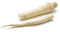 Parsley root isolated Royalty Free Stock Photo