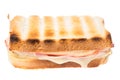 One ham and cheese sandwiches from the front on white background Royalty Free Stock Photo