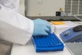 One hand with blue nitril gloves arranging plastic eppendorf tubes in a blue plastic rack. Royalty Free Stock Photo