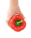 One hand holding a fresh raw vegetable red bell pepper isolated on white background. View from above Royalty Free Stock Photo