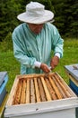 One handed beekeeper working