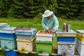 One handed beekeeper working