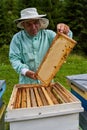 One handed beekeeper working