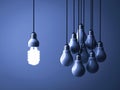 One hanging eco energy saving light bulb glowing and standing out isolated from unlit incandescent bulbs on dark blue background Royalty Free Stock Photo