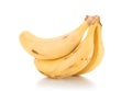 One hanging ripe fruit banana on white background