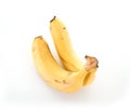 One hanging ripe fruit banana on white background