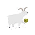 One happy funny goat with a cabbage Royalty Free Stock Photo