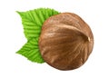 One hazelnut isolated closeup without shell with leaf as package design elements. Fresh filbert on white background. 1 Nut macro Royalty Free Stock Photo