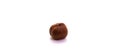 One hazelnut on white isolated background macro photo Royalty Free Stock Photo