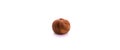 One hazelnut on white isolated background macro photo Royalty Free Stock Photo