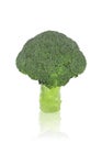 One head of fresh organic broccoli on white isolated background with clipping path. Broccoli have high carbohydrate and fiber so Royalty Free Stock Photo