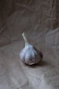One head of garlic on a beige paper background