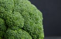 One head of healthy salad. fresh green broccoli. horizontal view of green vegetable flower. healthy diet. copy space. green Royalty Free Stock Photo