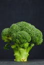 One head of healthy salad. fresh green broccoli. horizontal view of green vegetable flower. healthy diet. copy space. green Royalty Free Stock Photo