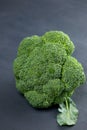 One head of healthy salad. fresh raw green broccoli. vertical kind of green vegetable flower. healthy diet. copy space. green Royalty Free Stock Photo