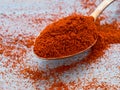 One heaping scoop of spices of paprika, powder scattered on the