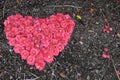 One heart-shape made by flowers, Royalty Free Stock Photo